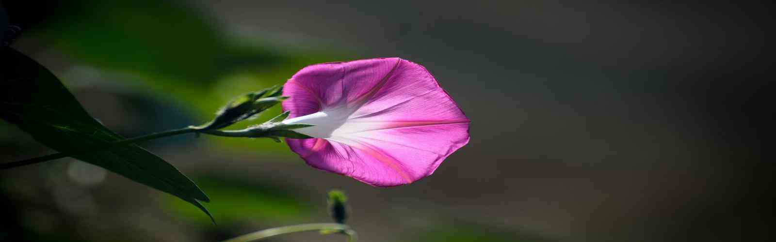 1277星际电子游戏